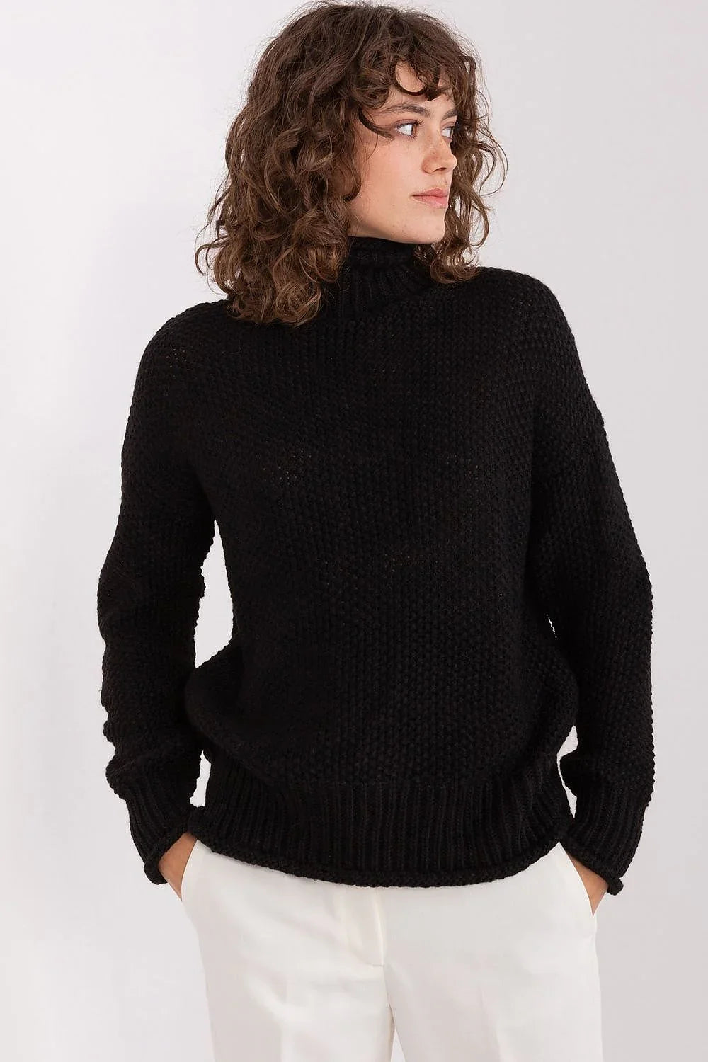 Women Classic Solid Turtleneck Sweater