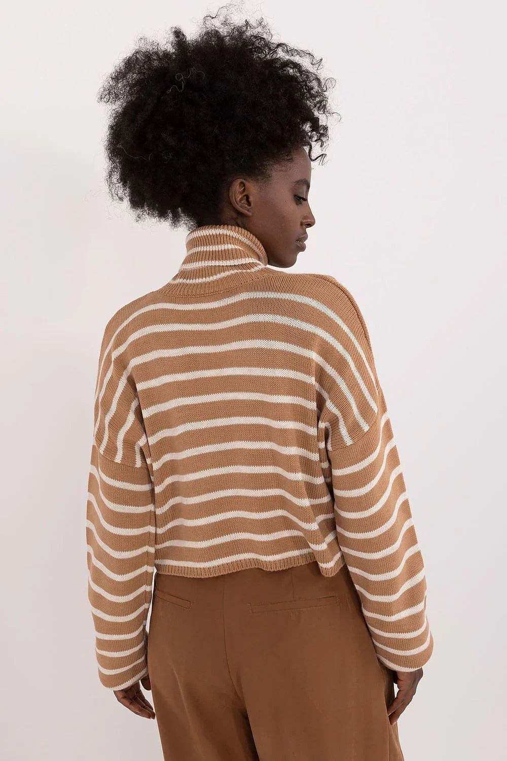 Women Striped Cropped Turtleneck Sweater