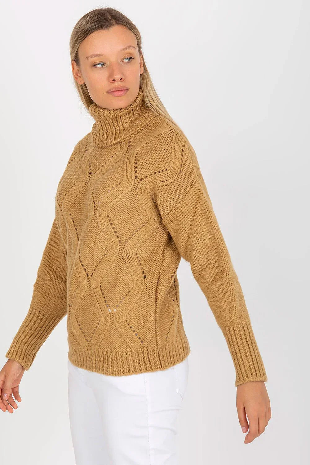 Women Textured Hip-Length Turtleneck Sweater
