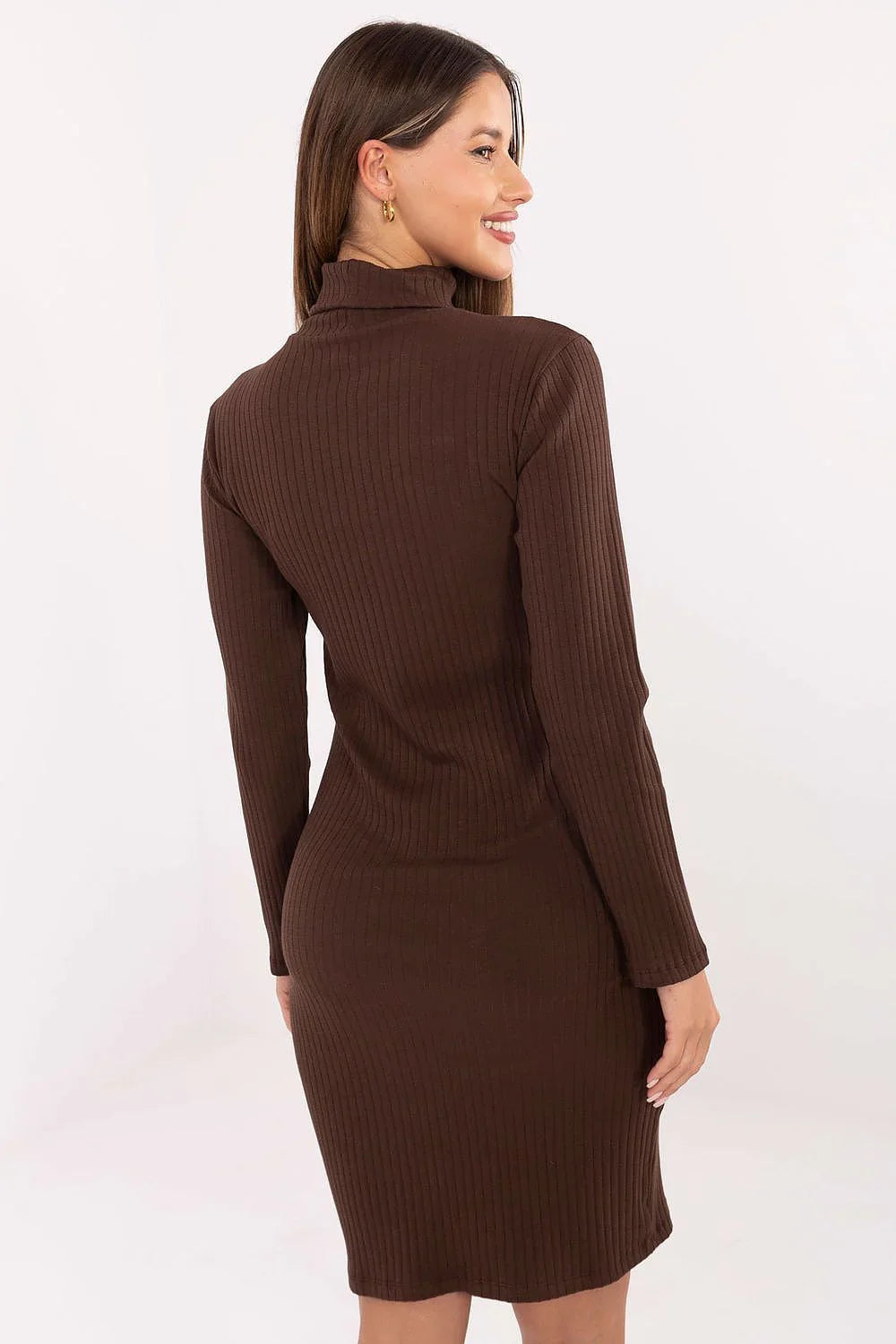 Women's Knee-Length Day Dress – Slim With Long Sleeves