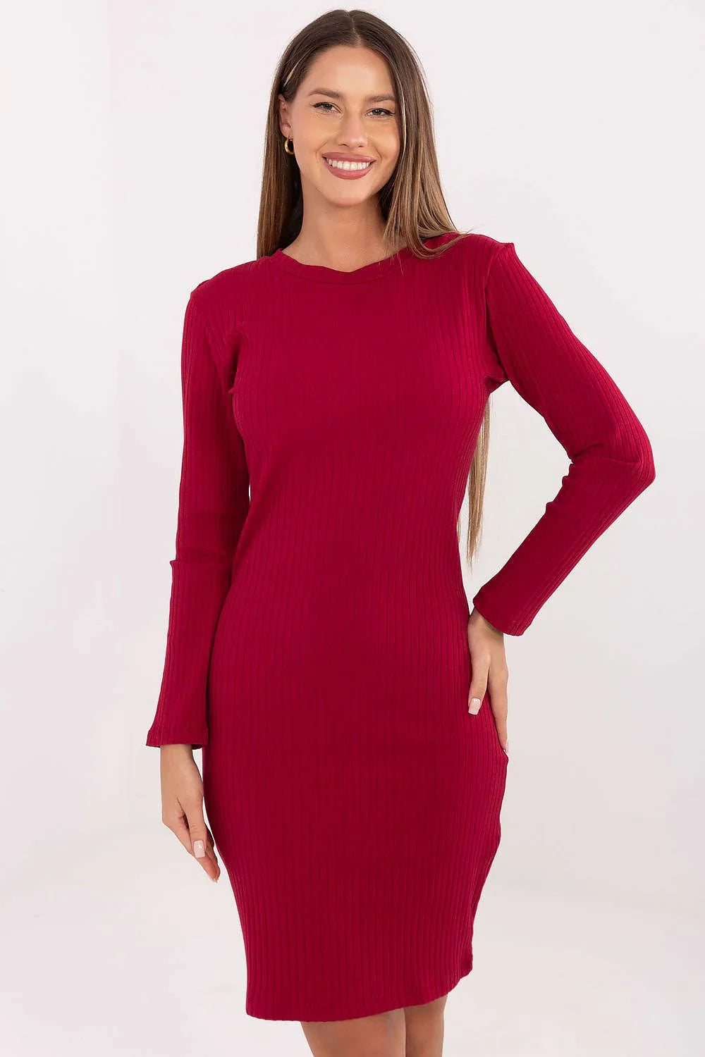 Women's Knee-Length Day Dress – Slim With Long Sleeves