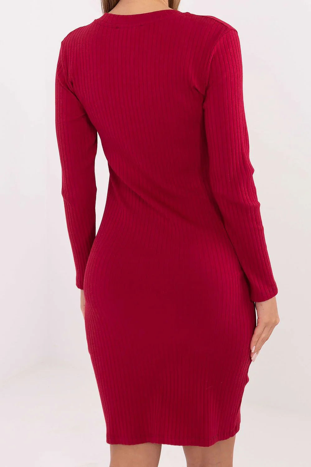 Women's Knee-Length Day Dress – Slim With Long Sleeves