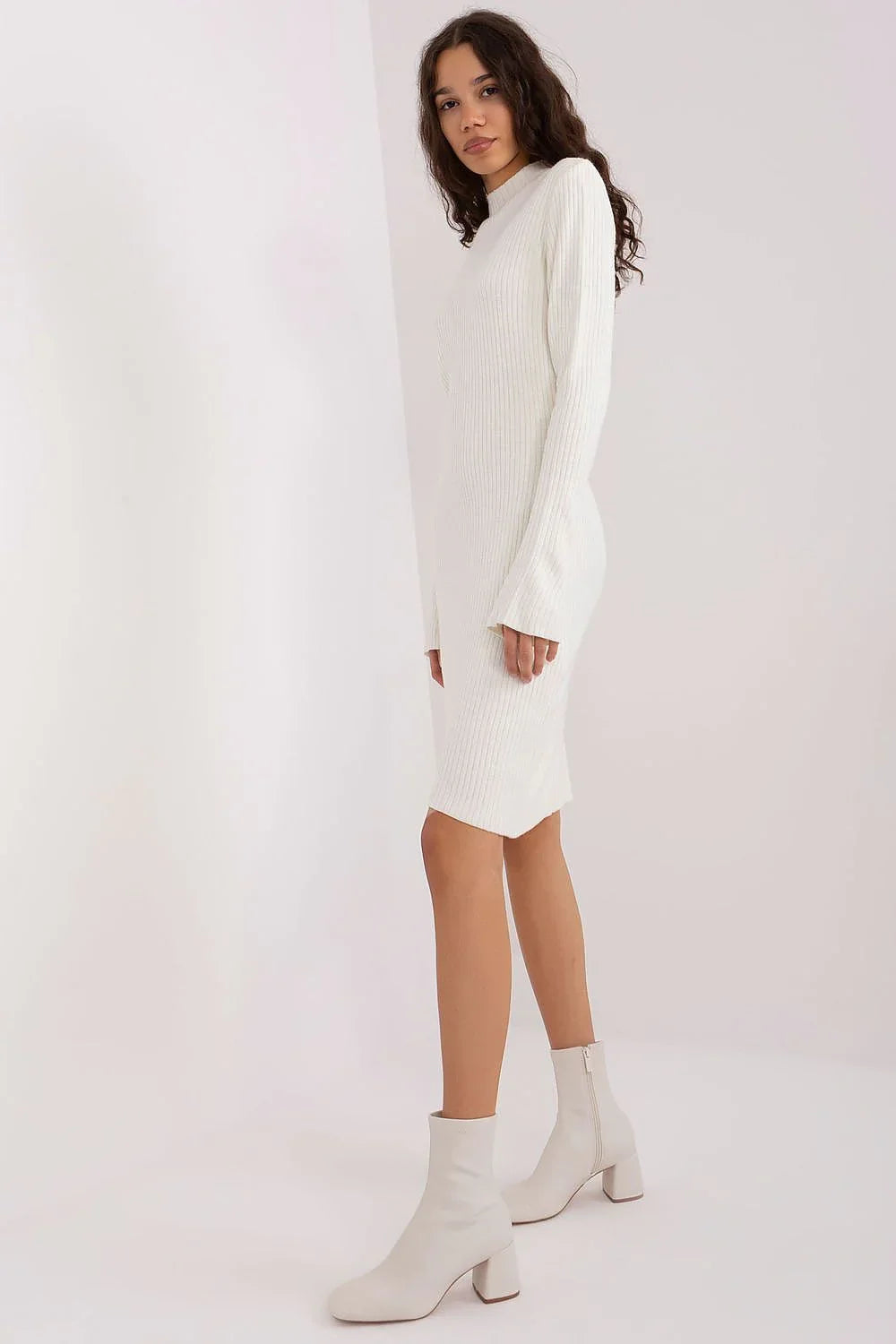 Women's Midi Day Dress – Regular Fit With Long Sleeves