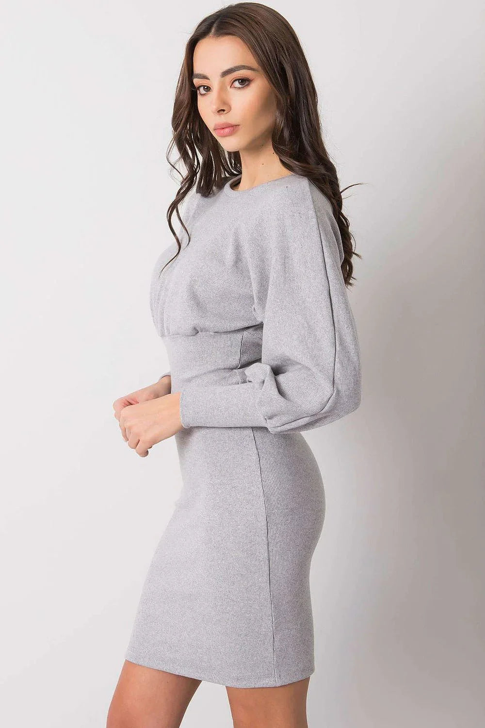 Women's Mini Day Dress – Slim With Long Sleeves