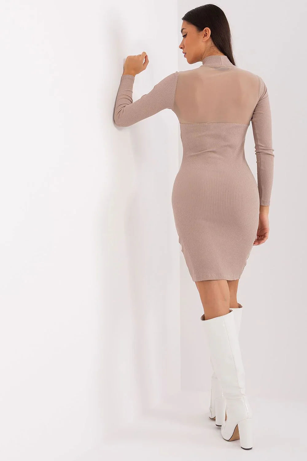 Elegant Crew Neck Long Sleeves Day Dress